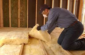 Best Insulation for New Construction  in Avondale, AZ