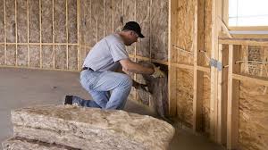 Eco-Friendly or Green Insulation Solutions in Avondale, AZ